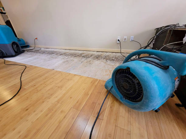 Professional Water Extraction technician working in Hobart, IN